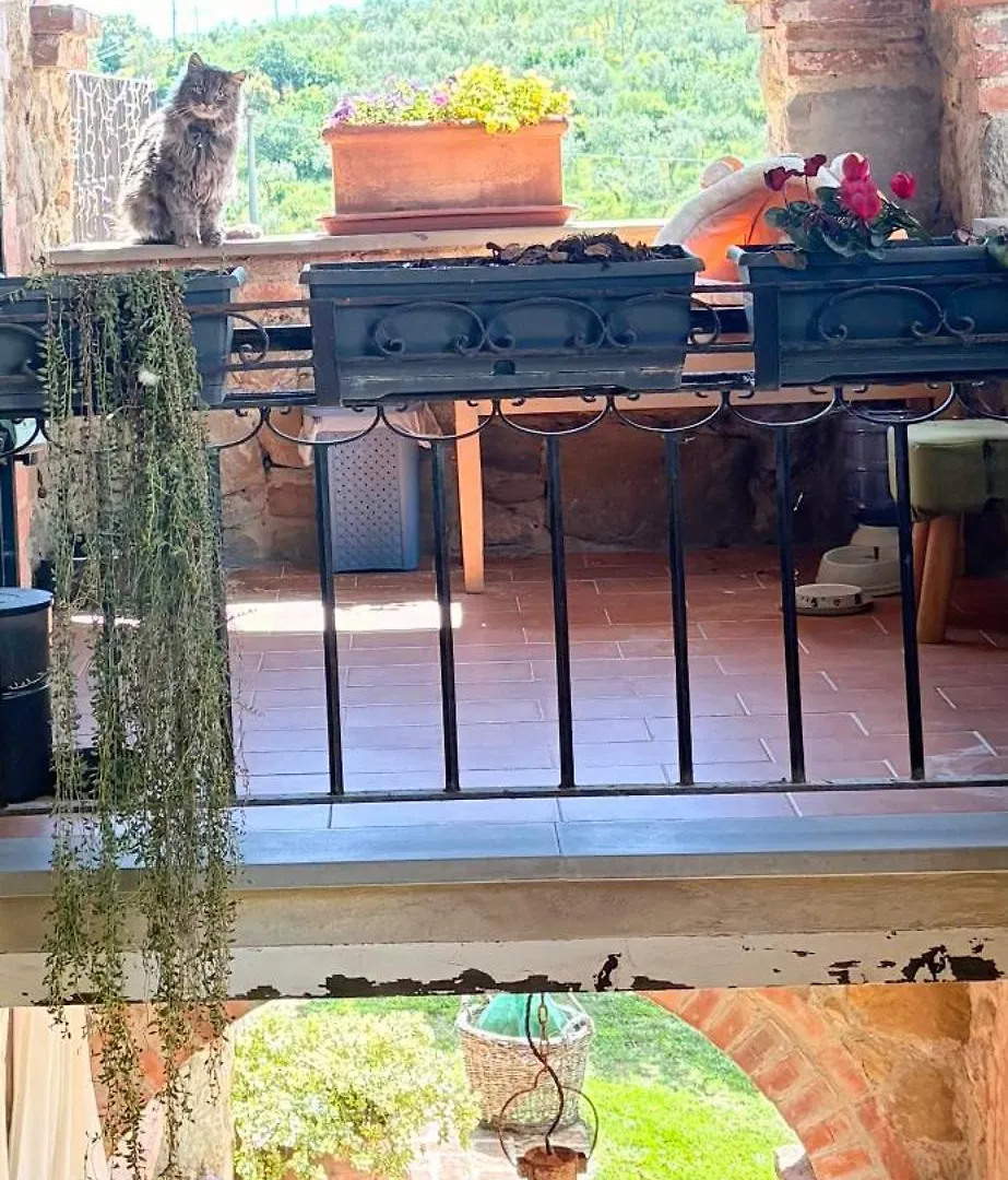 Gospodarstwo agroturystyczne Casa Vasari Holiday Suites Tuscany Lucignano Włochy